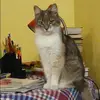 Отзыв от Кристина Седова